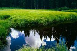 英雄联盟总决赛赛程-铁骑踏碎高卢雄鸡，哈利·凯恩一剑封喉