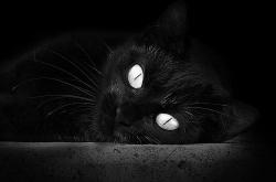 LOL决赛-北欧海盗的团队华尔兹与孤胆英雄的狙击步枪，瑞典强压尤文，托尼打出生涯之夜