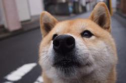 英雄联盟总决赛直播-从末节崩盘到9-0一波流，杰伦·格林的生涯之夜如何刺穿开拓者防线