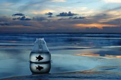 英雄联盟总决赛门票-冰与火的对决，杰伦·格林爆发下的热火节奏交响