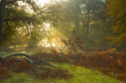 英雄联盟总决赛时间-绝境之光，暴走伦纳德撕裂盐湖城，开拓者生死战上演逆天改命
