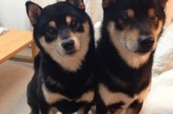 LOL赛事-时空交错的篮球意志，当雷霆强断费城，拉文在美加墨的聚光灯下宣告接管