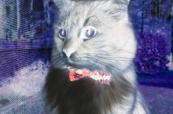 -加时鏖战，保罗防守锁死对手！步行者险胜勇士