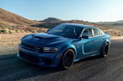 -横跨一万公里的竞技共鸣，欧冠战场与山西男篮的隔空交响