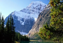 -西亚卡姆天神下凡！新疆队沙暴席卷黄蜂