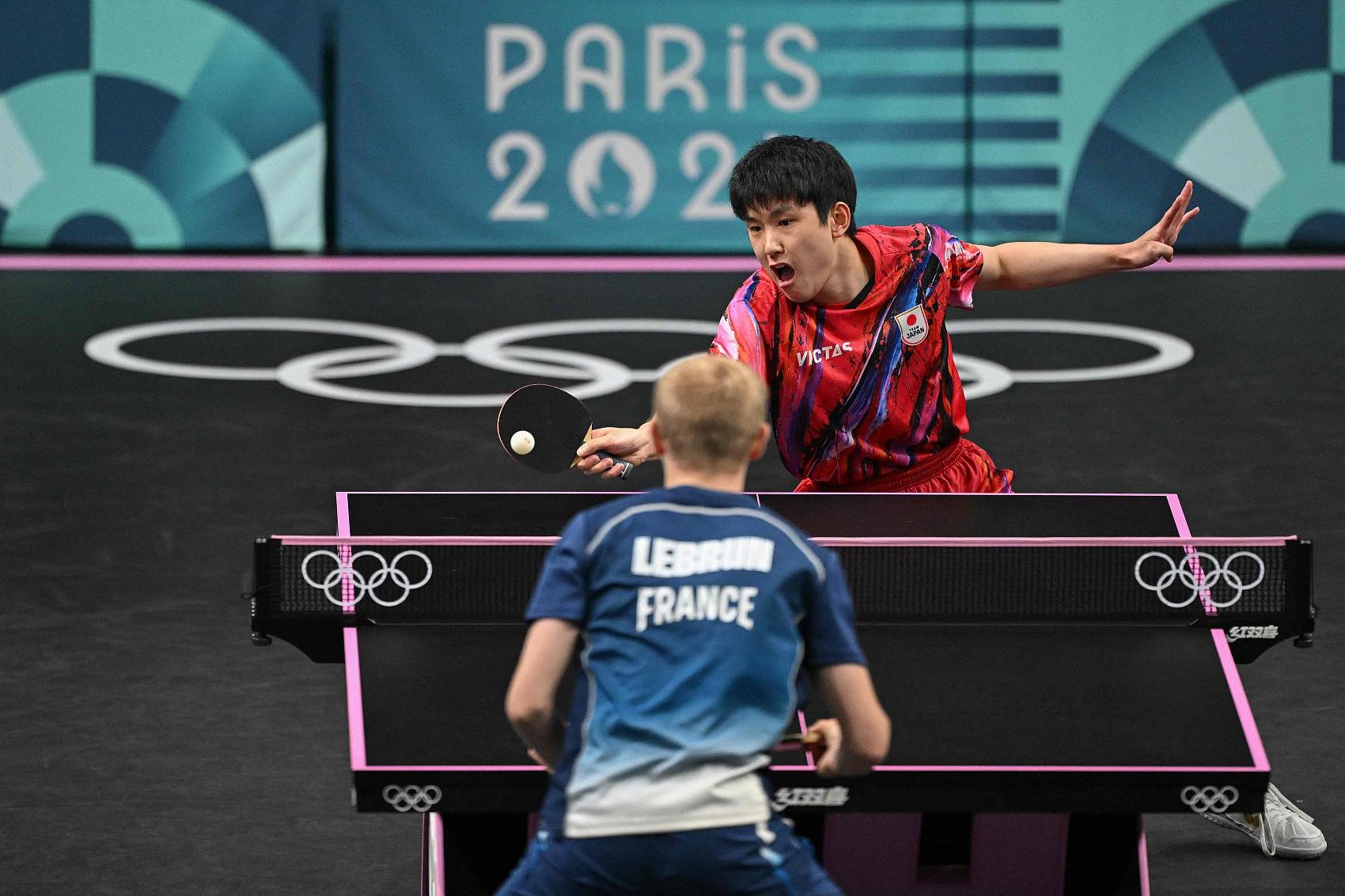 英格兰队轻取法国队,张本智和惊艳四座 英格兰队轻取法国队,张本智和惊艳四座