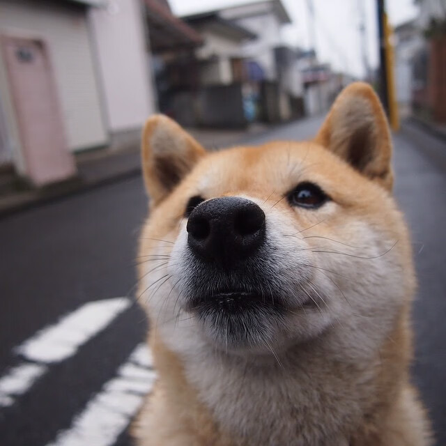 从末节崩盘到9-0一波流，杰伦·格林的生涯之夜如何刺穿开拓者防线