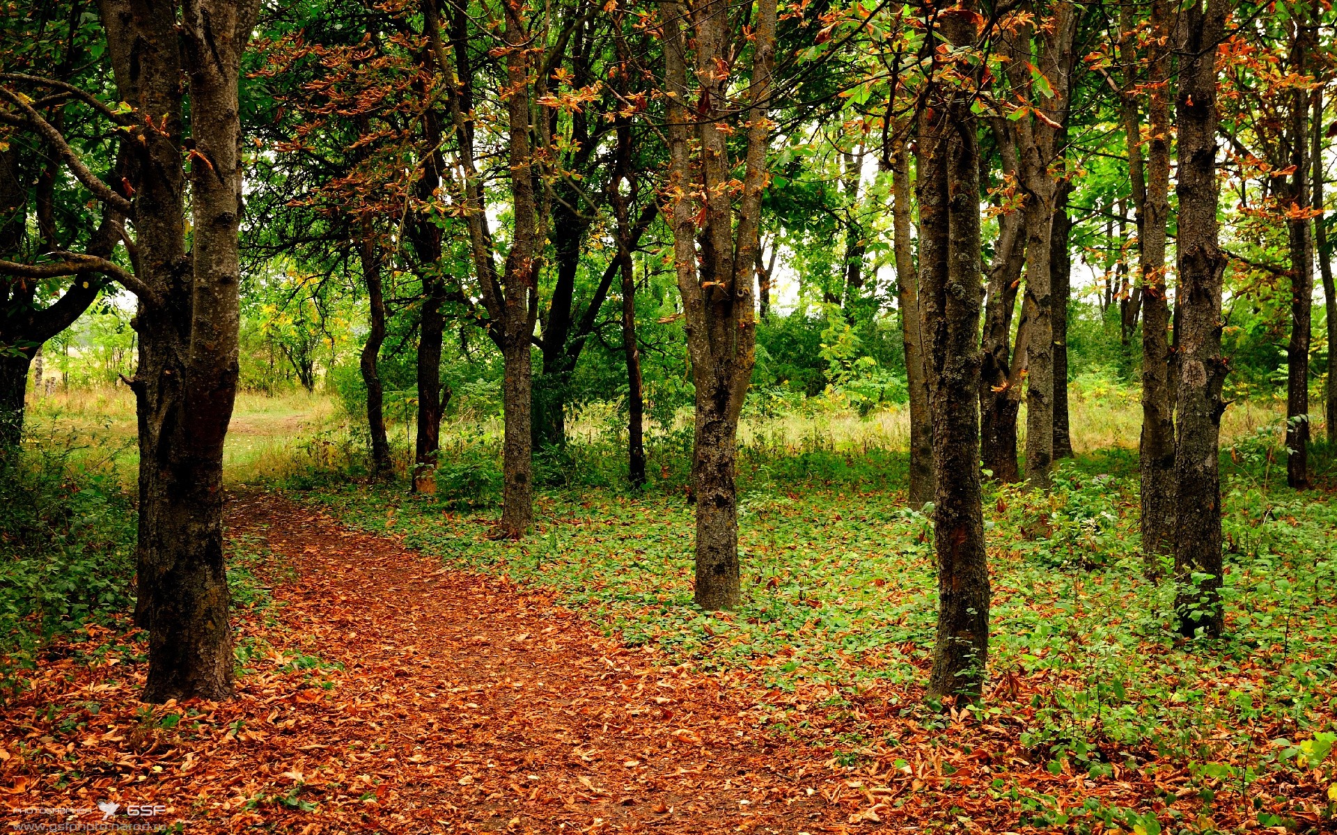 王者破晓，德里赫特制胜时刻，提前终场悬念的巅峰对决