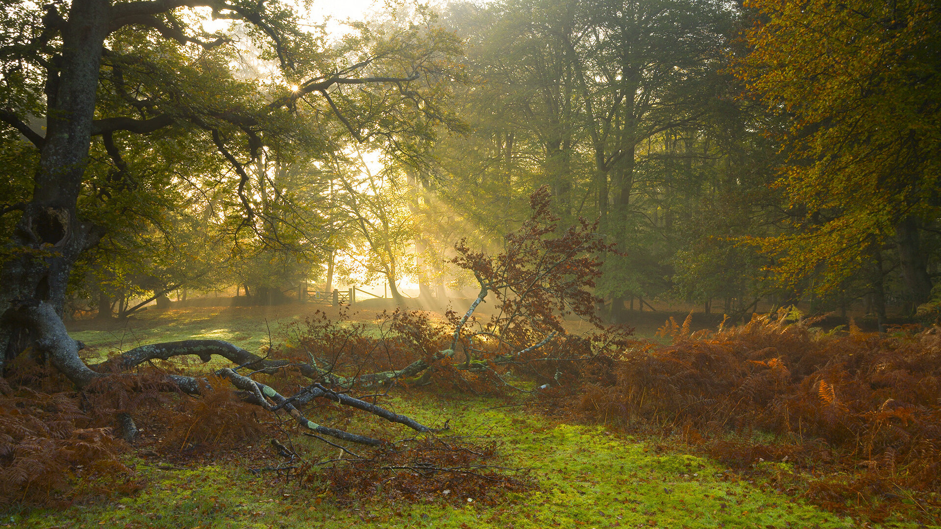 绝境之光，暴走伦纳德撕裂盐湖城，开拓者生死战上演逆天改命
