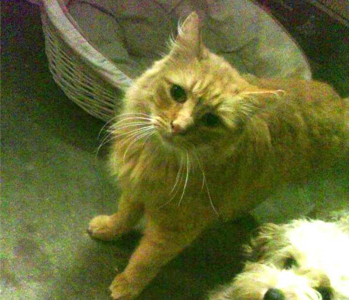 天堑崩摧，西班牙如何冲垮马竞钢铁防线，隐形巨人卡塞米罗成为关键先生