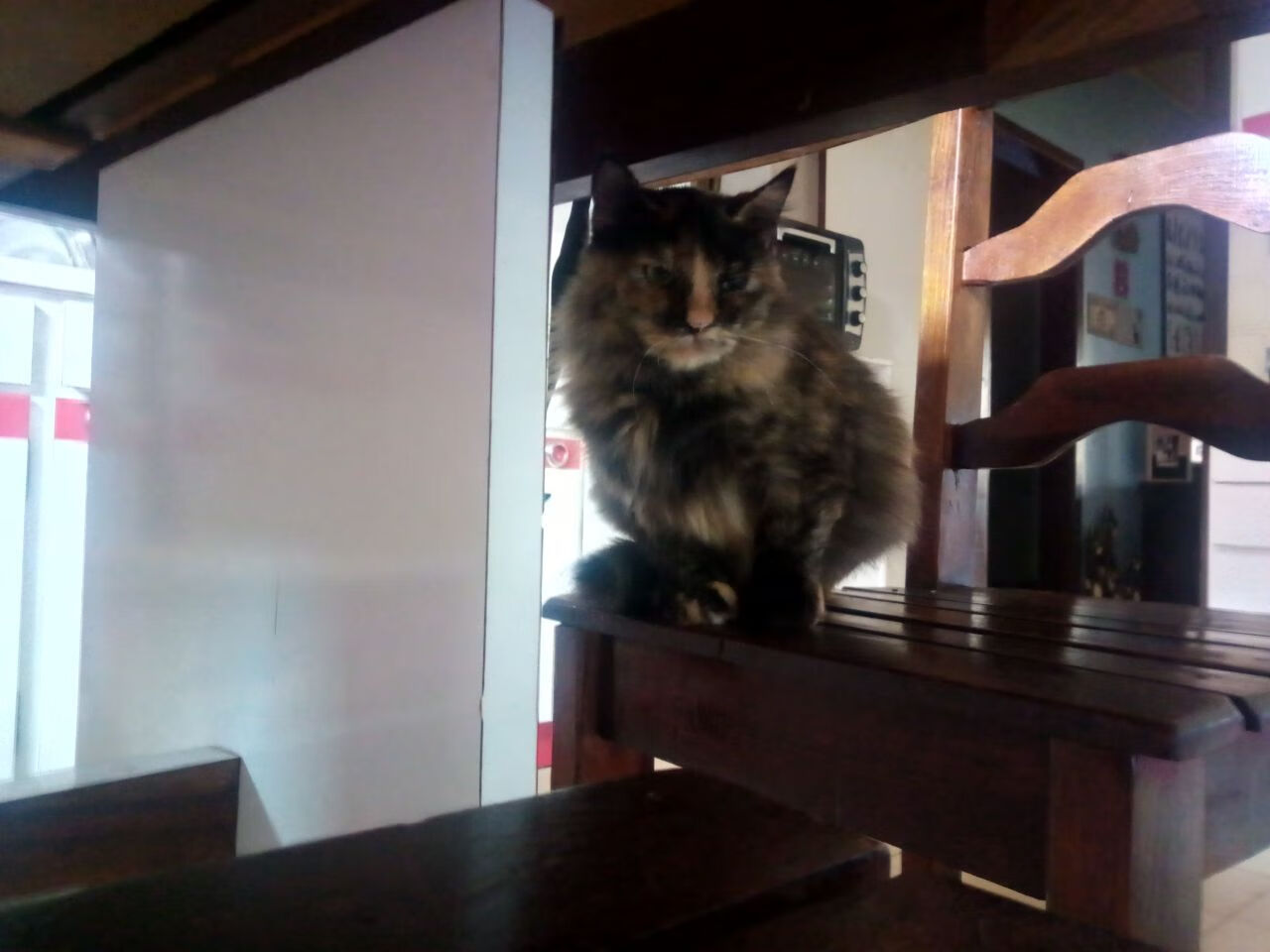 双城记，从孟菲斯防守铁幕到欧冠个人英雄史诗