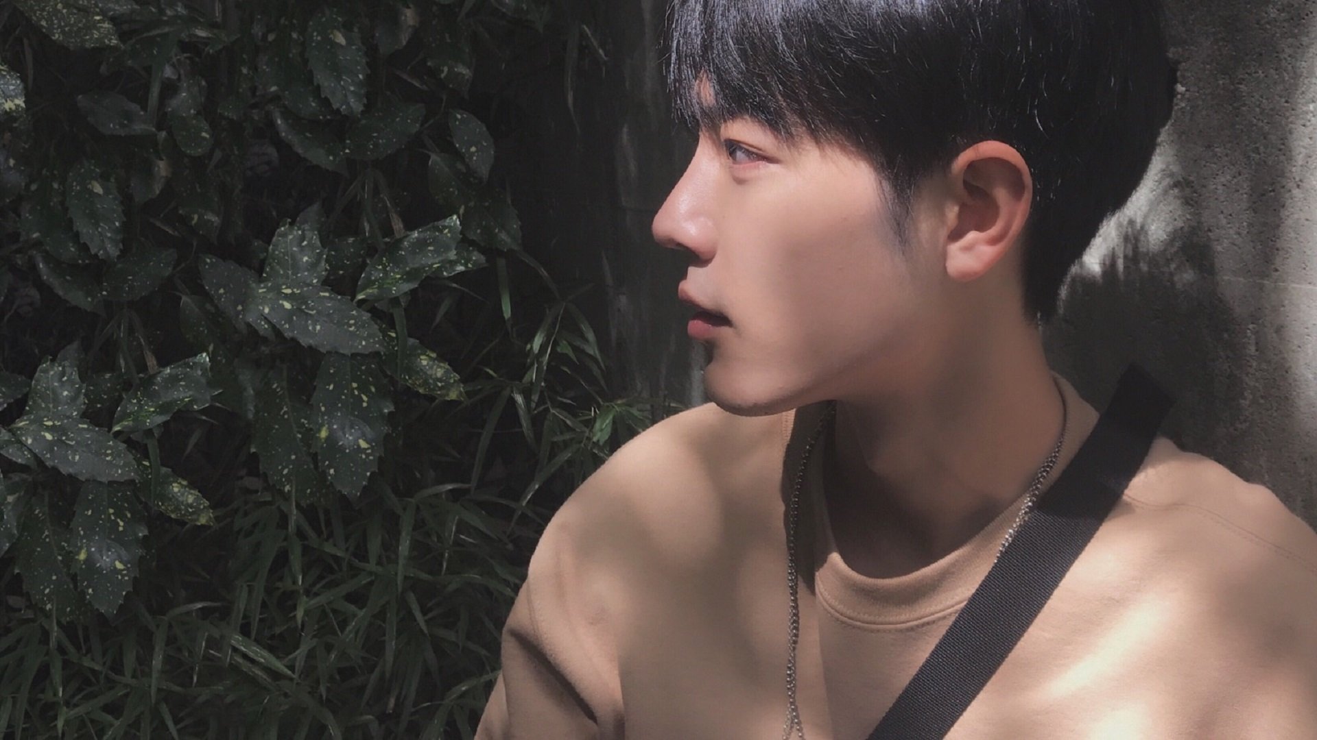 篮球世界的双城记，新疆铁血掀翻深圳，库里一剑封喉定乾坤