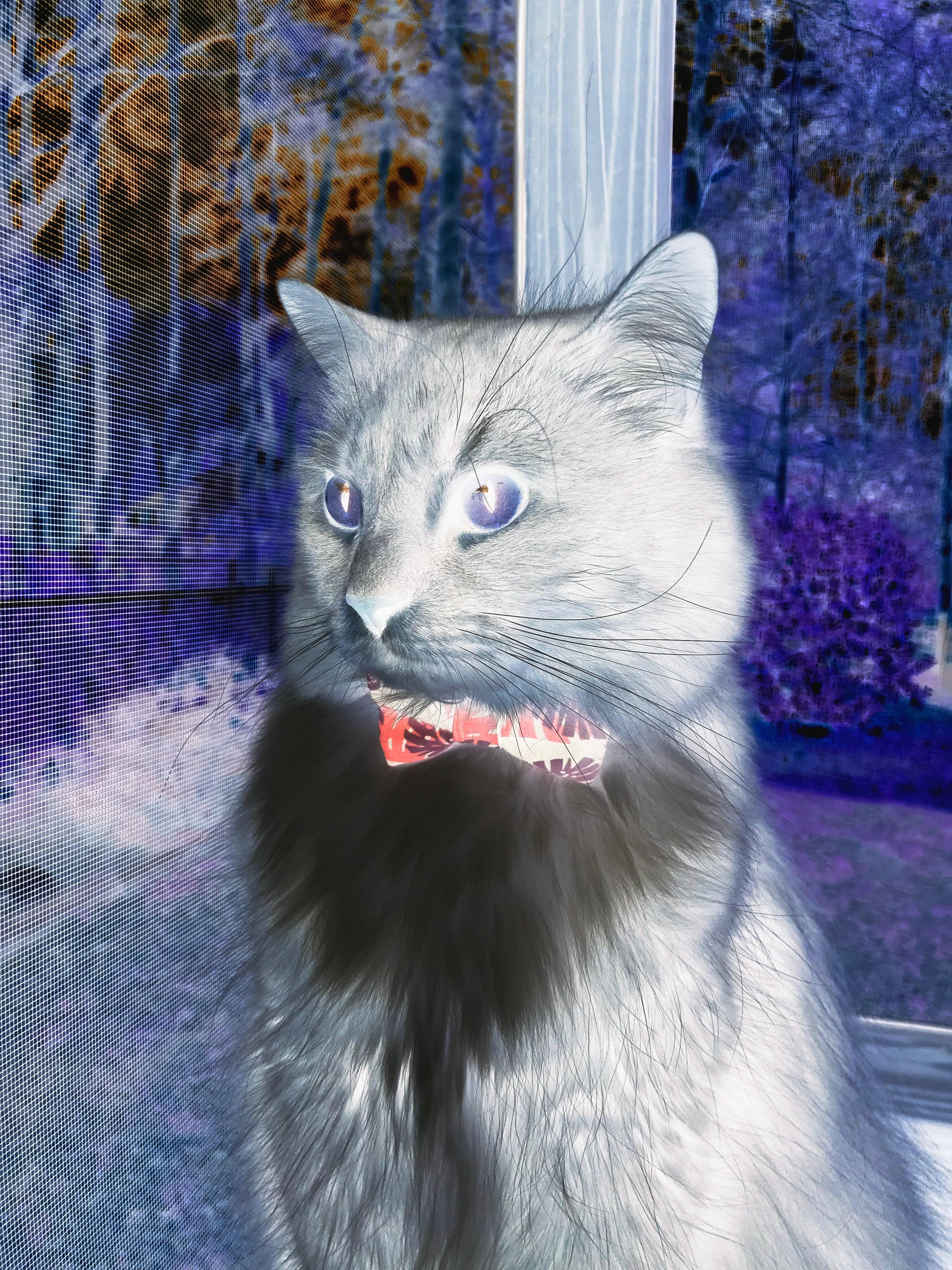 加时鏖战，保罗防守锁死对手！步行者险胜勇士