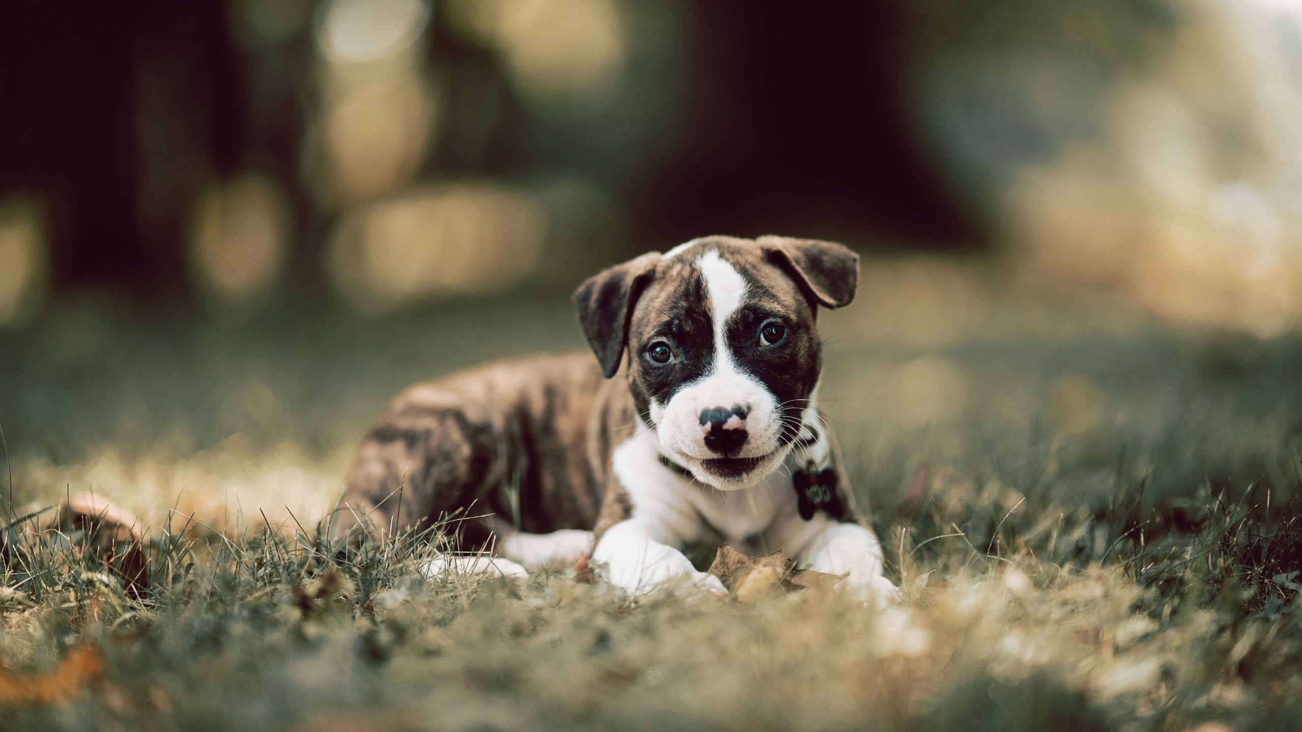 魔术·骑士与乔治不落，一场胜利与一份稳定的胜利拼图