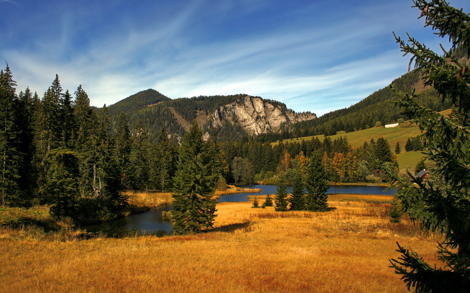 辽宁队加时取胜广厦队,范弗利特,那道沉默的屏障与胜利的支点