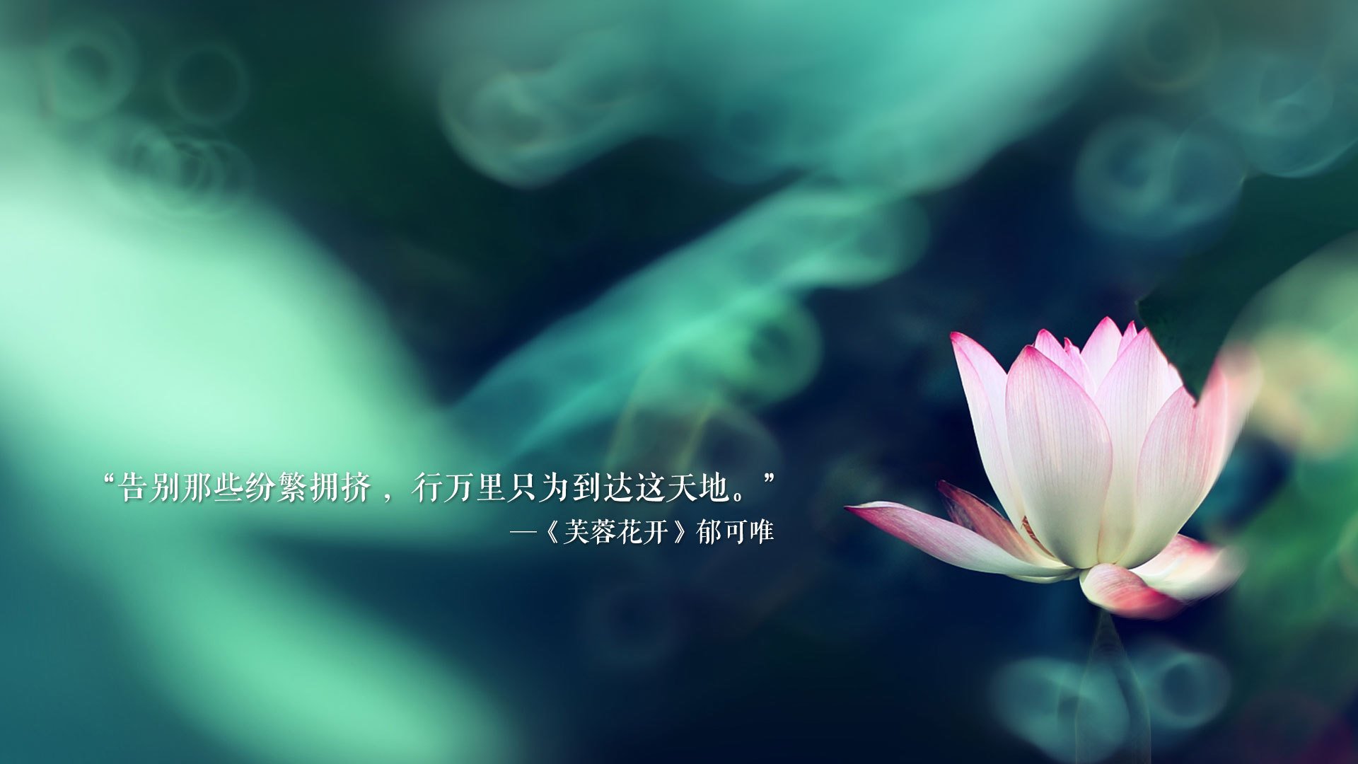 圣十字的绝唱,莫德里奇爆发,佛罗伦萨绝杀墨西哥
