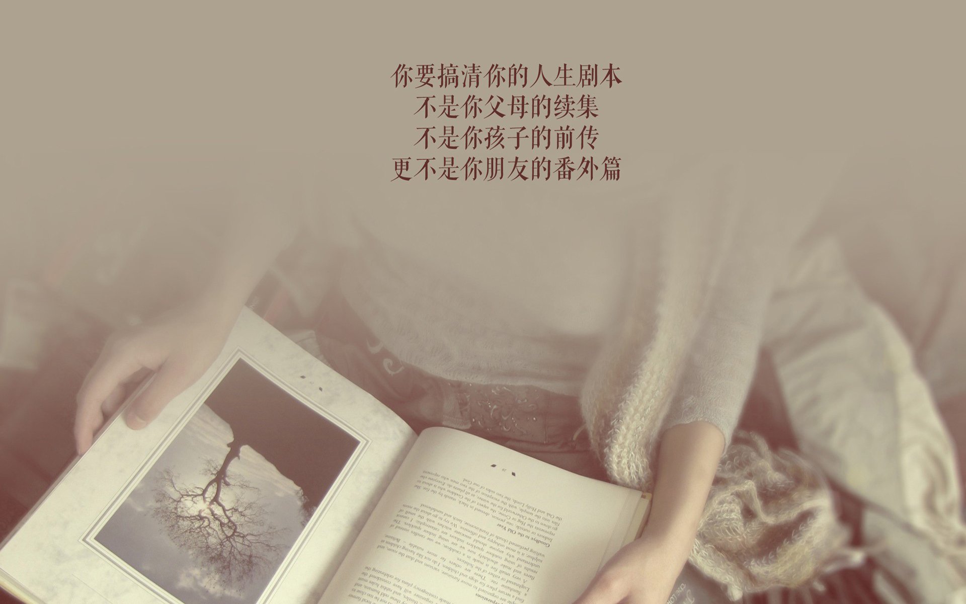 蓝黄风暴下的孤胆英雄，费利克斯一己之力撕裂奥地利，哥伦比亚在2026世界杯C组生死战中续写南美荣光